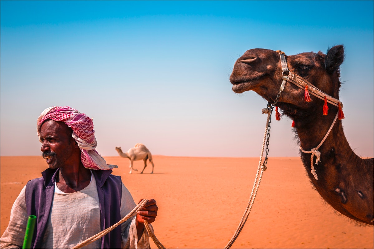 man holding rope camel