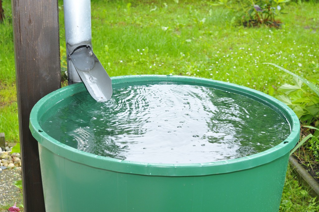 rainwater being collected on a pail